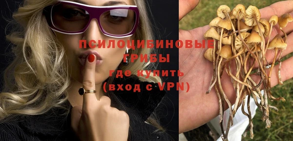 гашик Магадан