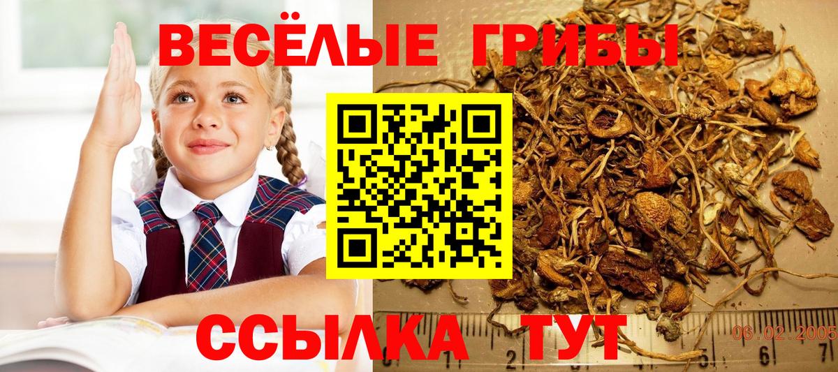 Каспийск  Галлюциногенные грибы ЛСД  Вход с VPN  Галлюциногенные грибы GOLDEN TEACHER 