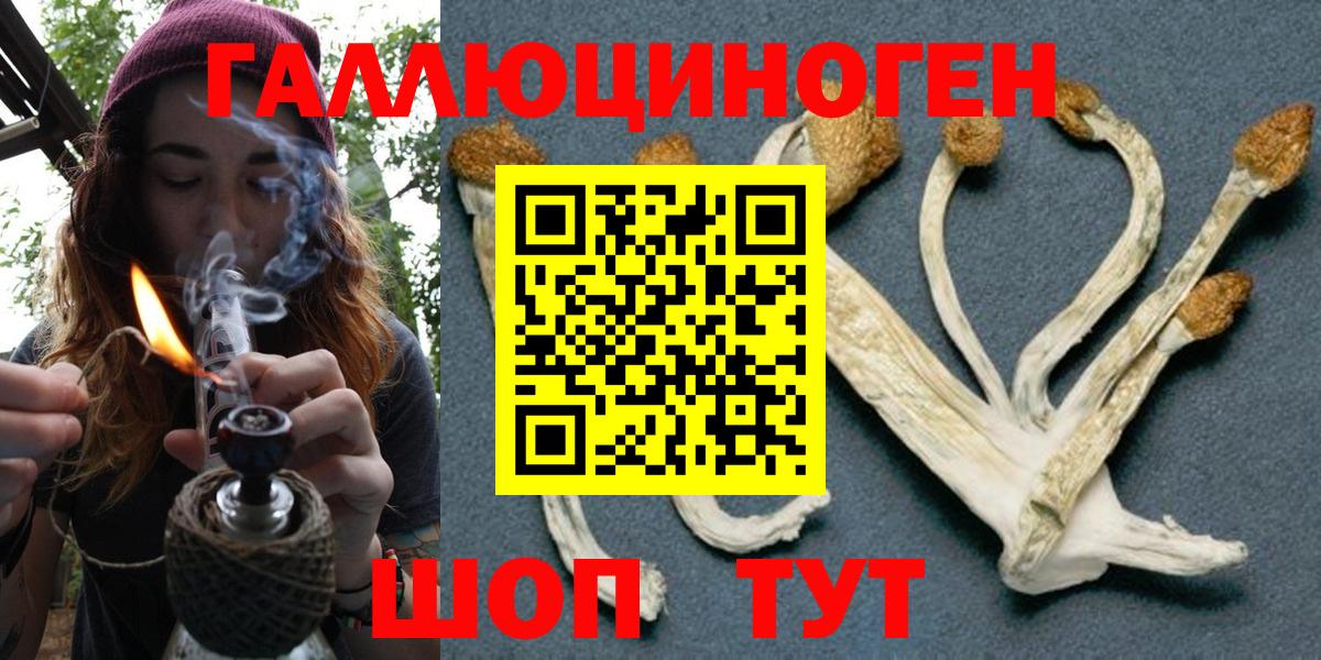 Галлюциногенные грибы MAGIC MUSHROOMS  Каспийск  Галлюциногенные грибы ЛСД 