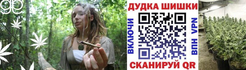 закладка  Каспийск  Каннабис ГИДРОПОН 